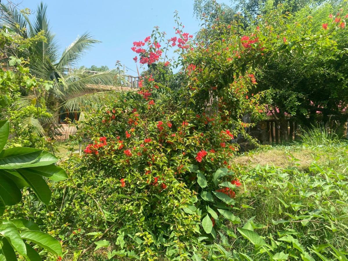 Ngoc Tien Farmer Eco Lodge Cat Tien Kültér fotó
